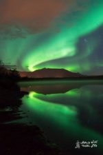 Is winter a perfect time to see Northern Lights in Iceland?